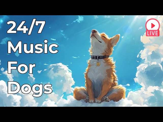 🔴 [LIVE] Relaxing Music for Dogs to Calm Down – 24/7 Stress Relief