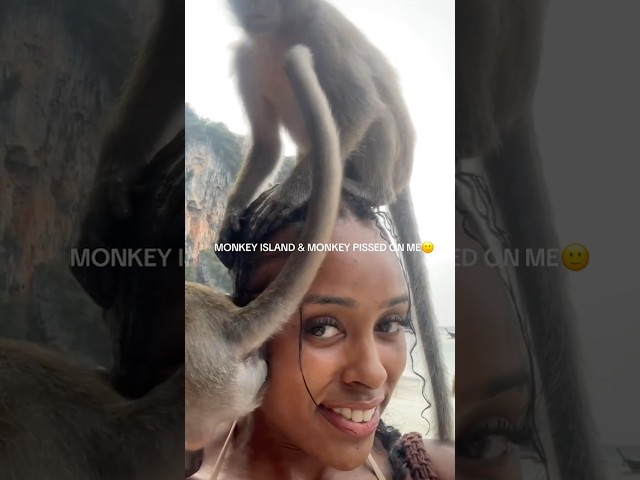 Monkey Unexpectedly Pees On Woman 🙊