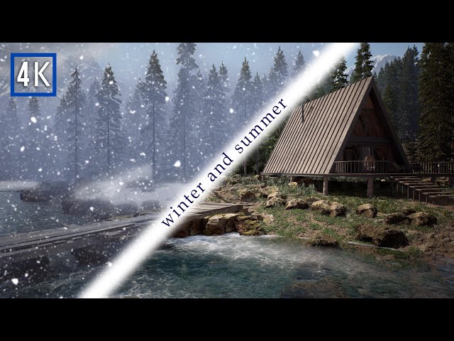 Cozy Mountain Cabin in the Forest | Nature Ambience for All Seasons