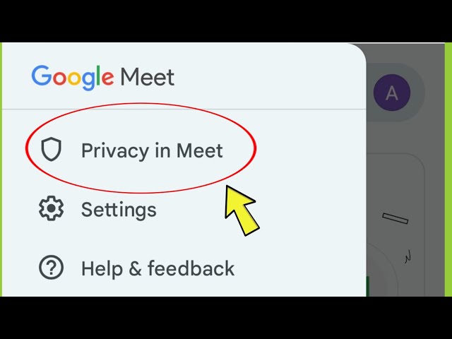 What is Privacy in Meet | Google Meet me Privacy in meet kya hota hai