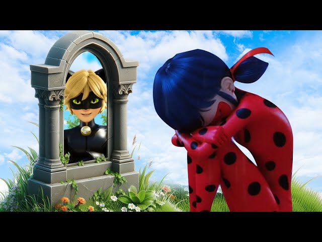 [🐾paper diy🐾] Ladybug & Cat noir Love story Miraculous