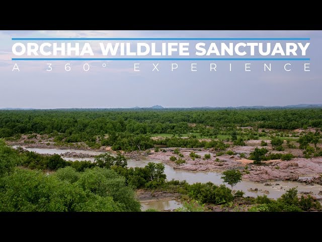 Orchha Wildlife Sanctuary – A 360°  Experience