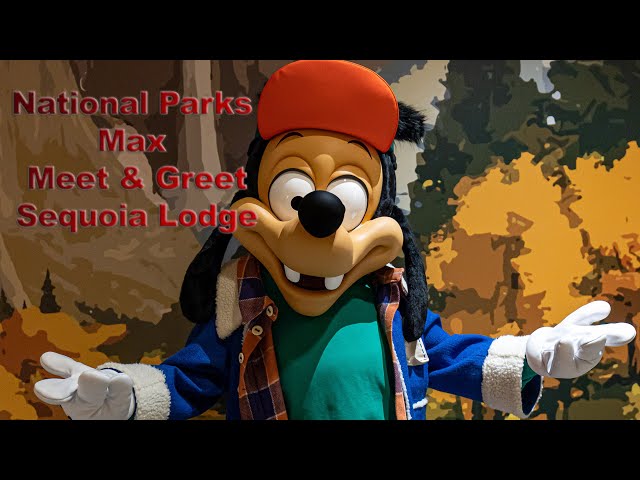 8K National Parks Max at Disney's Sequoia Lodge in Disneyland Paris in VR180 3D