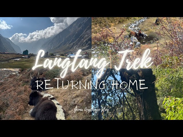 Returning from Langtang Trek || 🏞️🏞️🚶‍♀️