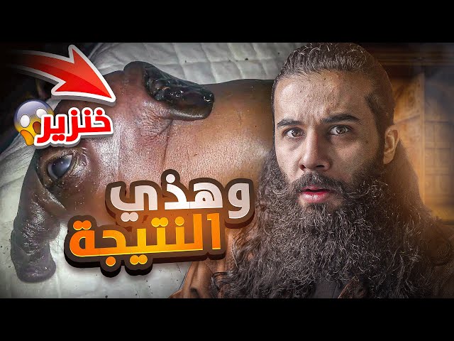 ابليس دخل في سفينة نوح !! | الطوفان العظيم | أنس آكشن