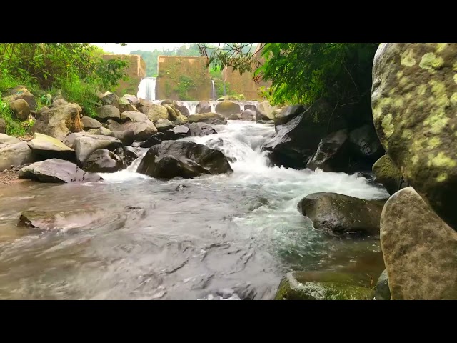 Gentle Babbling Brook for Sleep & Relaxation | Peaceful Stream Sounds to Calm the Mind