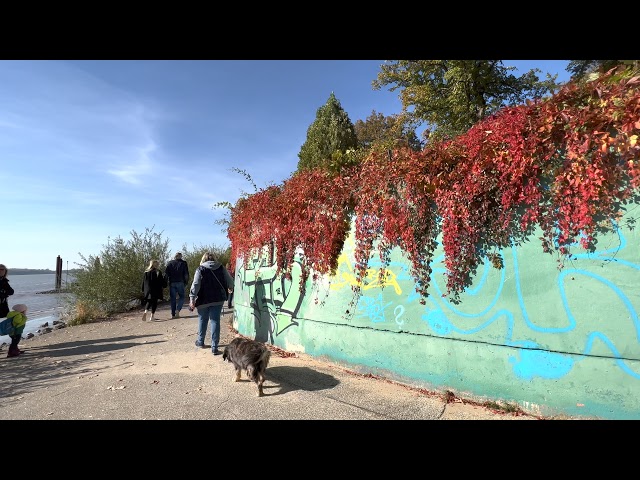 walking at the Wedel coast October 2021 HDR Dolby Vision 4K 60fps