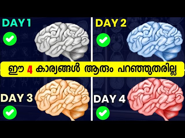 How to Improve brain power|| How to Boost Brain power | Brain training | Brain Gym 🧠| IQ boost