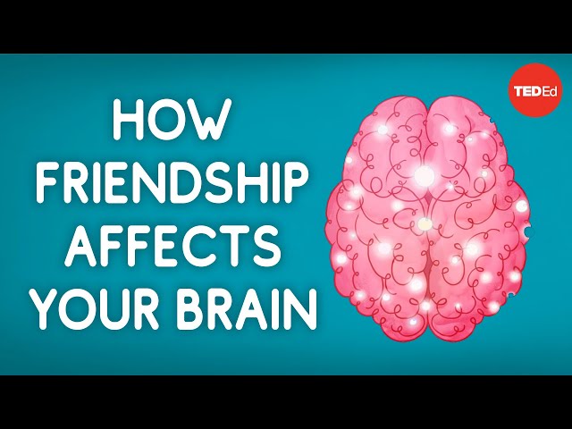 How friendship affects your brain - Shannon Odell