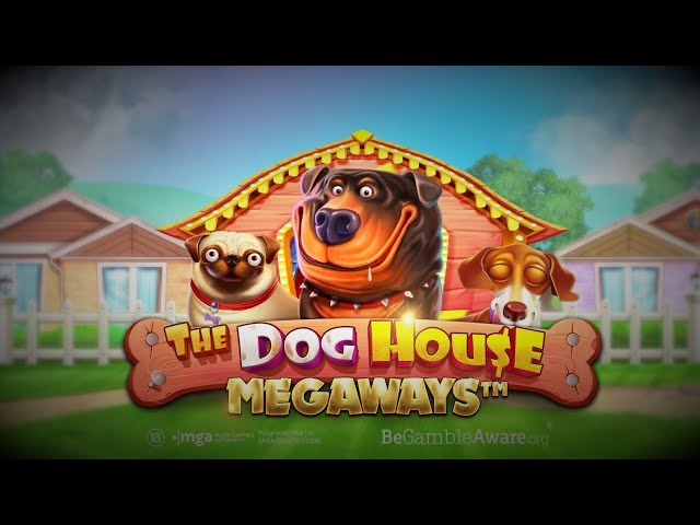 🐾 The Dog House Megaways Slot Review | Big Wins, Features & Tips 🎰