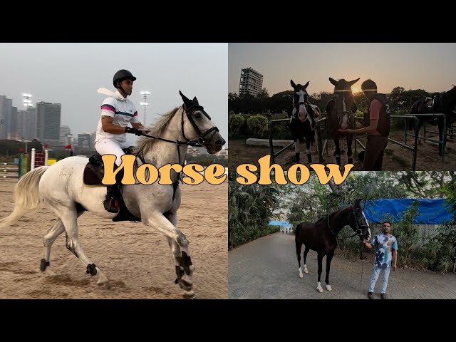 Horse show at Mahalaxmi race course || horse ghussa hogaya mera pe mujhe kattatha🥺