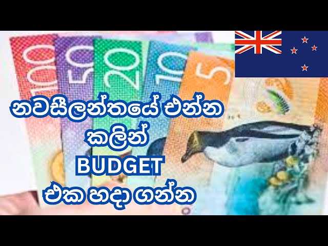 නවසීලන්තයට ලංකාවෙන් කීයක් ගේන්න වෙයිද? First month cost of living in NewZealand| ජීවන වියදම