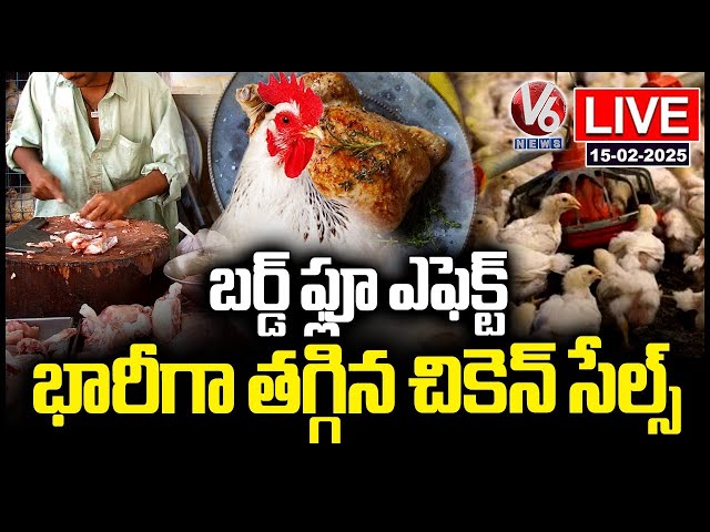 LIVE: Bird Flu Effect On Chicken Sales | V6 News