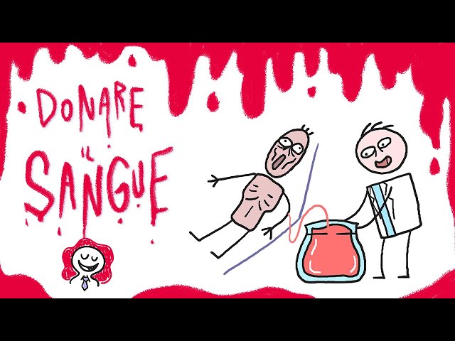 DONARE IL SANGUE : i dubbi più grossi