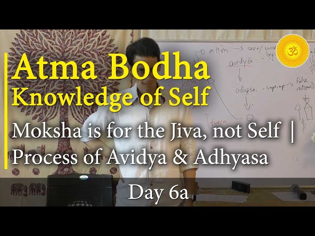 6A - Atma Bodha (Self-Knowledge): Self Shines Beyond Thought | Purpose of Neti Neti & Mahavakya