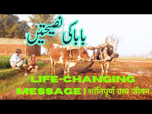 Peaceful Village Life & A Life-Changing Message | शांतिपूर्ण ग्राम जीवन