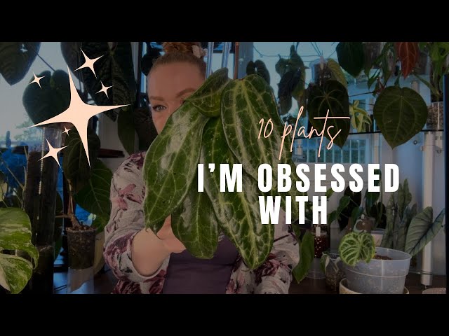 10 Plants I’m OBSESSED with 🥹🌿