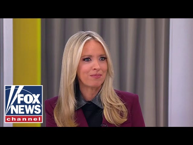 Kayleigh McEnany: They're stoking fear with a new talking point