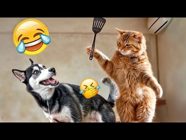 Funny Dogs And Cats Videos 2024 😅 - Best Funniest Animal Videos Of The week #366