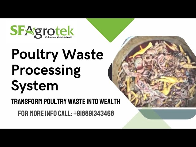 chicken/poultry waste processing