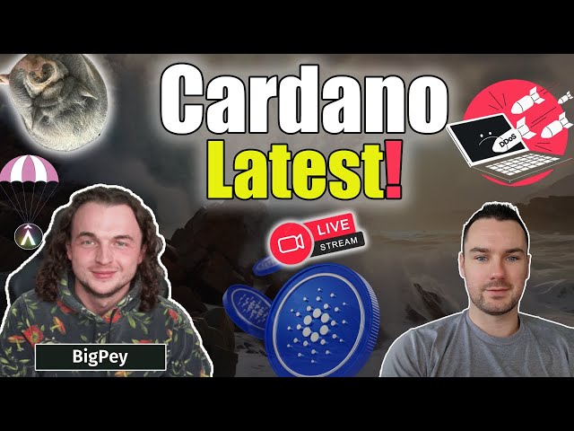 Cardano DDOS Attack Outcome, Atrium Airdrop and Memecoin Takeover