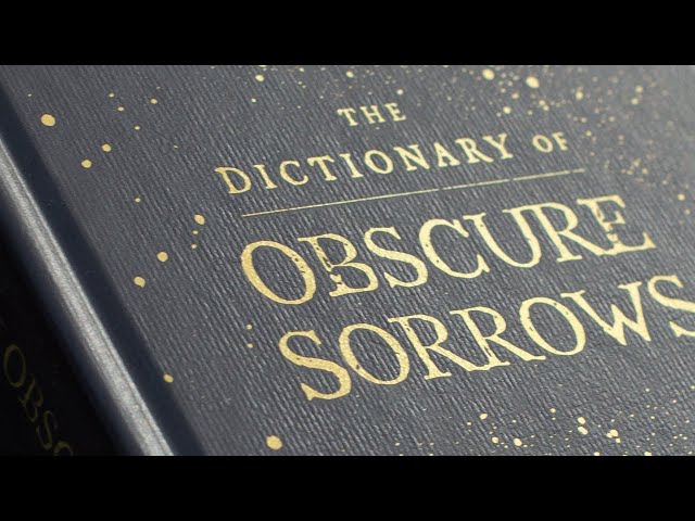 The Dictionary of Obscure Sorrows