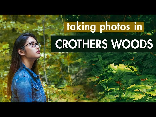 Taking photos in Crothers Woods // Chụp ảnh ở Toronto  / engsub.