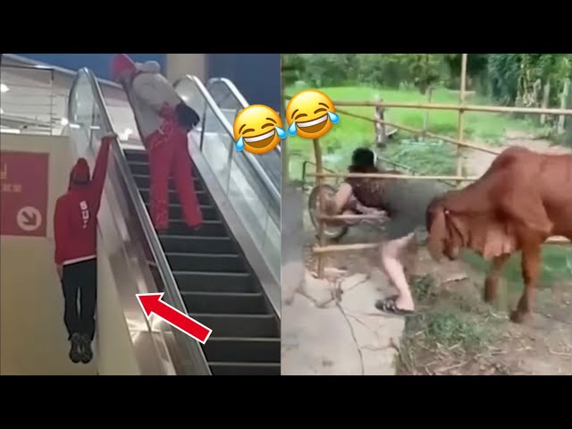 TRY NOT TO LAUGH 😆🤣 (If you laugh YOU lose) LEVEL  16  Instant Regret Fails Compilation 2024