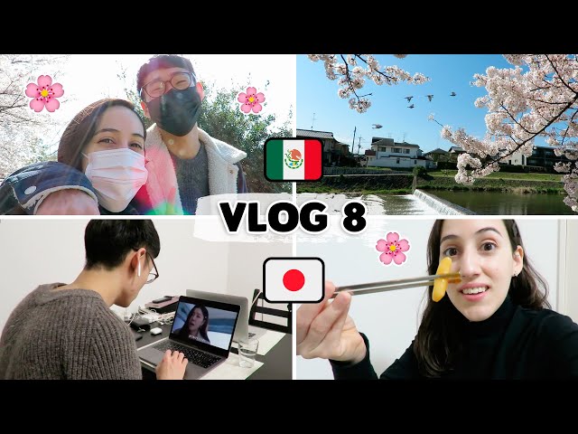 😫 MI ESPOSO JAPONÉS ODIA HACER ESTO... PRIMAVERA EN JAPÓN 🌸 | Tania&Hayato