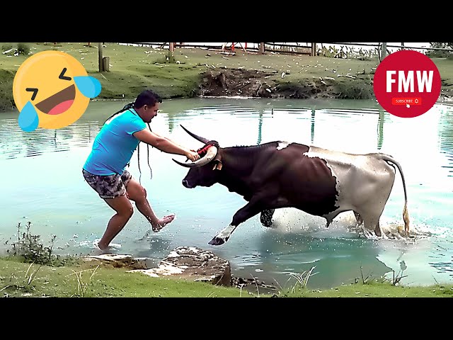 Funny & Hilarious People's Life 😂 #100 - Try not to Laugh | Funny Fails Compilation 2024