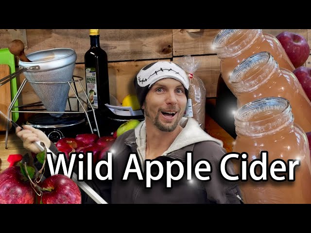 No Cost Cider tutorial (I don't shop in stores anymore!)