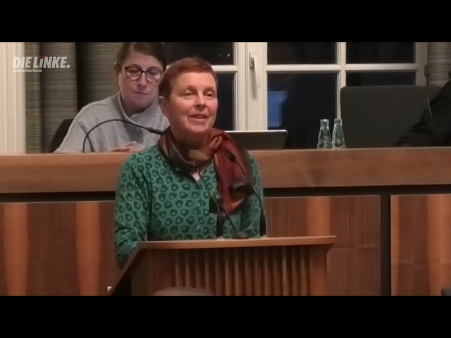 Sabine Leidig zu  "„Schwammstadt“ als Leitbild städtischen Handelns festlegen." Stavo am 11.11.24.