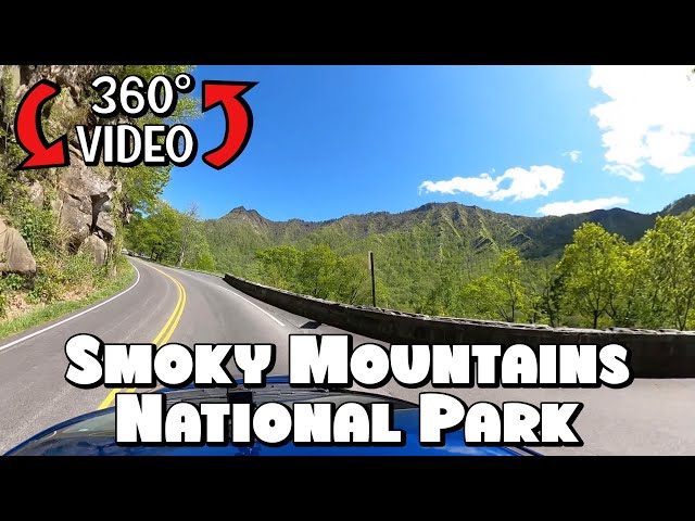 Driving Through the Great Smoky Mountains National Park in 360° Video