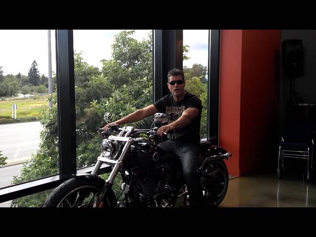 Part 1 2014 Harley Davidson breakout