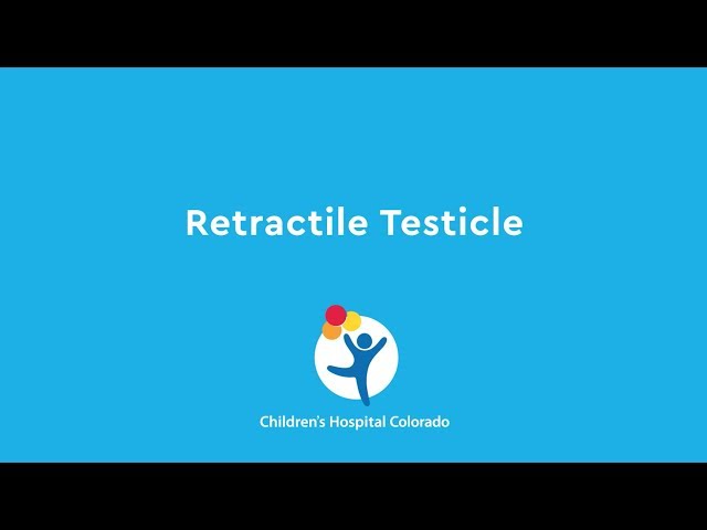 What is Retractile Testicle Surgery?