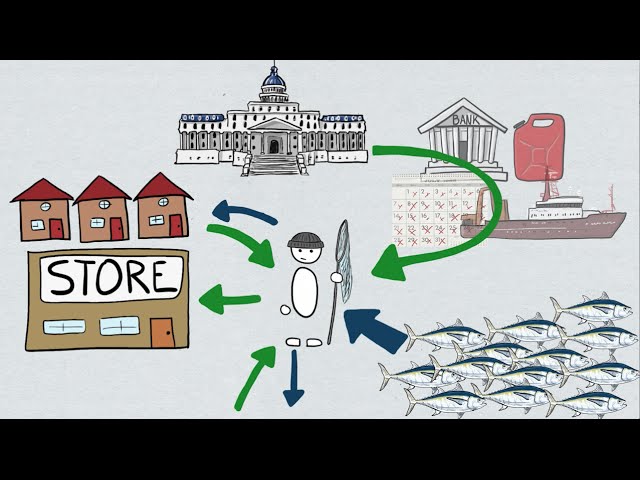 Fisheries Economics & Policy: Subsidies and Taxes