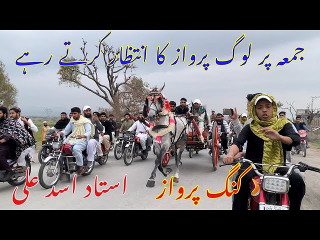 King Parwaz horse race try owner umar farooq khan All Pakistan tanga horse race