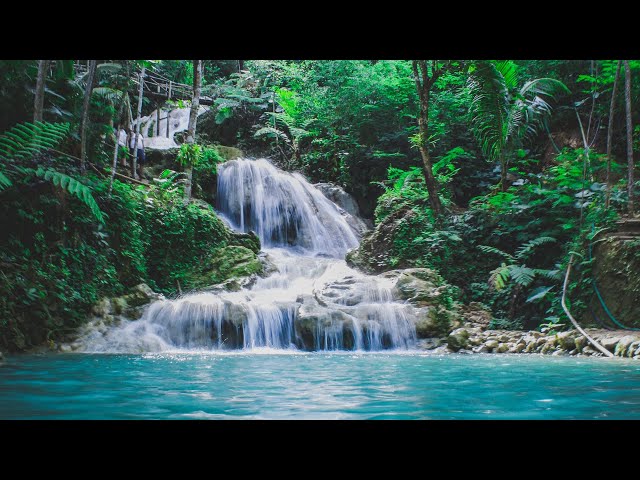 Relaxing Waterfall Sounds for Sleep | Fall Asleep or Relax | 2 Hours