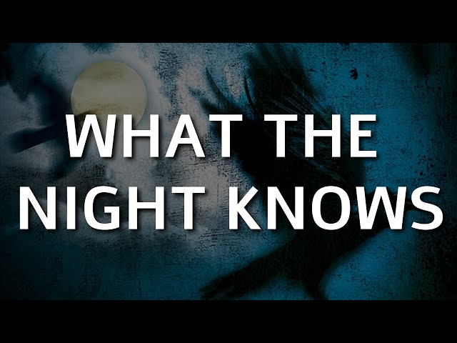 Steven Weber me fait flipper avec | What the night knows (Dean Koontz)