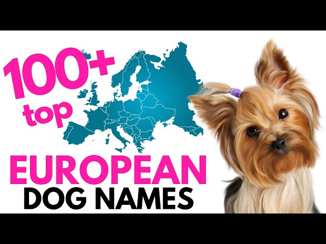 Top 100+ EUROPEAN Dog names– Unique Dog Names