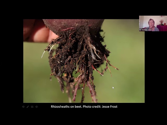 Dr. Christine Jones"The Phosphorus Paradox"