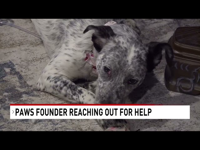 PAWS founder reaching out to continue mission of rescuing and saving animals