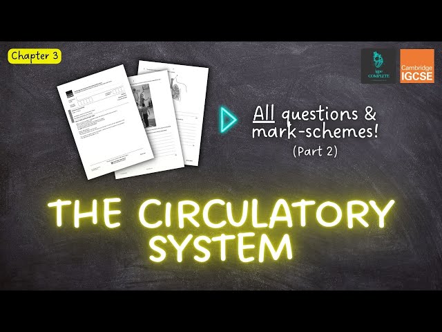 QUESTIONS, A* ANSWERS & MARK SCHEMES - Circulatory System (Ch 3) - IGCSE PE exam revision