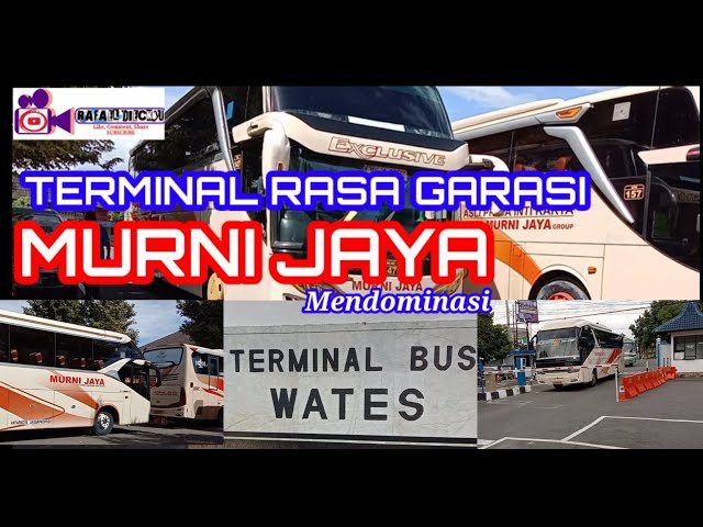 HUNTING BUS MURNI JAYA!! Terminal Wates Kulon Progo Yogyakarta || PT. MURNI ANUGERAH JAYA USAHA