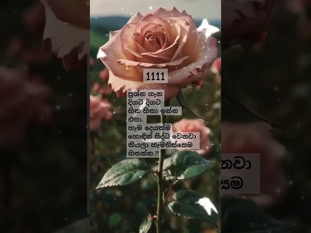 ඔබේ වාසනාවන්තම දිනය අදයි ! 🌿 Powerful Energy Attraction Audio⚡| #spiritual #astrology #shorts #love