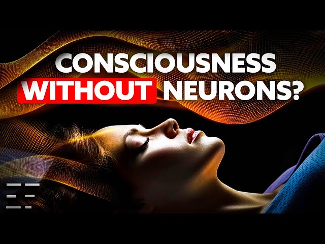 New Evidence for Out-of-Body Experiences & Perennial Wisdom | Neuroscientist Marjorie Woollacott PhD