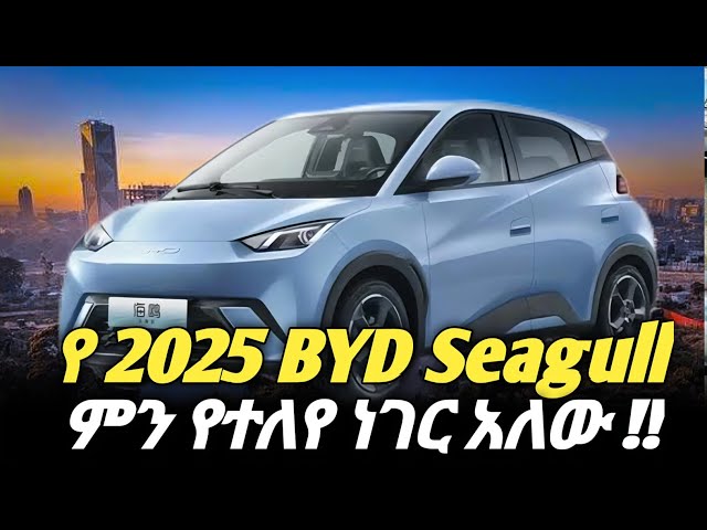 የ 2025 BYD Seagull ከ 2024 ሞዴሉ በምን የተሻለ ነው ዋጋውስ ስንት ነው ?? | The 2025 BYD Seagull is it better #car