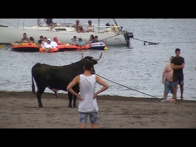 toiros na praia 11/aug/2019