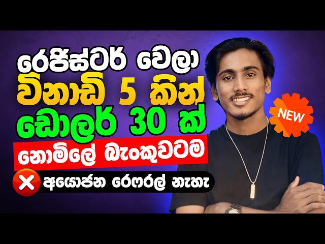 online job sinhala - online job at home sinhala - E money sinhala - earn money online 2025