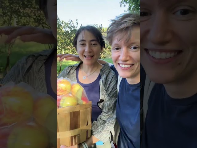 🔵Apple Picking! | BTS EP17